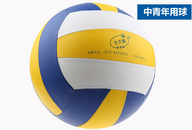 Ballon de volley - Ref 2016050 Image 32
