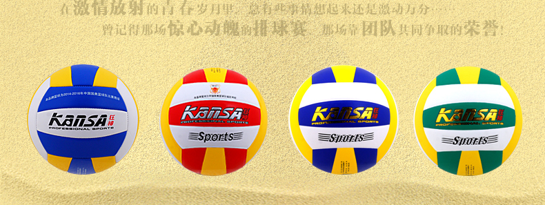 Ballon de volley - Ref 2010372 Image 3