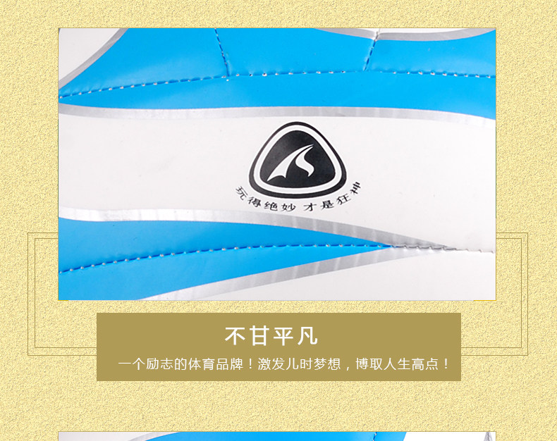 Ballon de volley-ball - Ref 2015979 Image 12