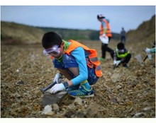 天然15种古生物化石标本盒三叶虫化石琥珀原石奇石摆件石头礼品
