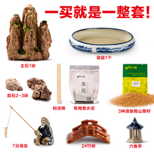 盆栽观赏石草种子植物上水石吸水石盆景盆盆景草籽书房办公室假山
