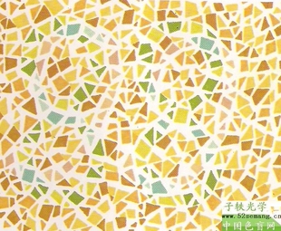 正版 驾照\/体检色盲色弱测试检查检测图全套 色