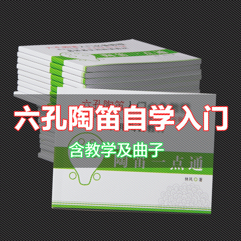 包邮孔实用初学陶笛六孔图谱教材书6陶笛林风原著