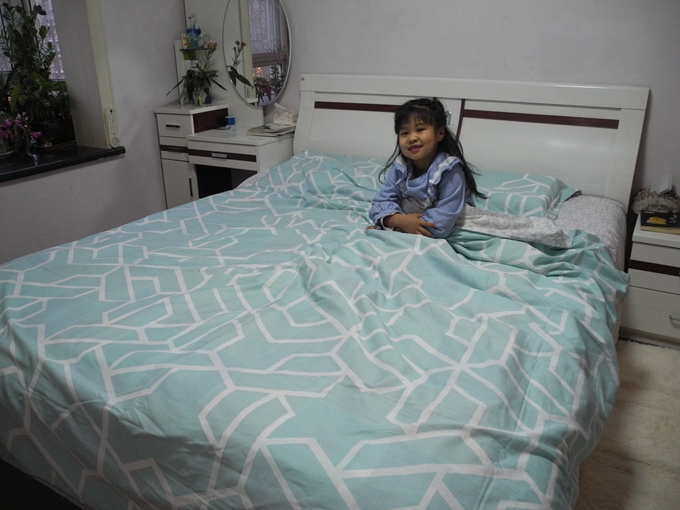 水星家纺纯棉简约四件套