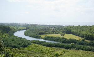 威陆亚河州立公园