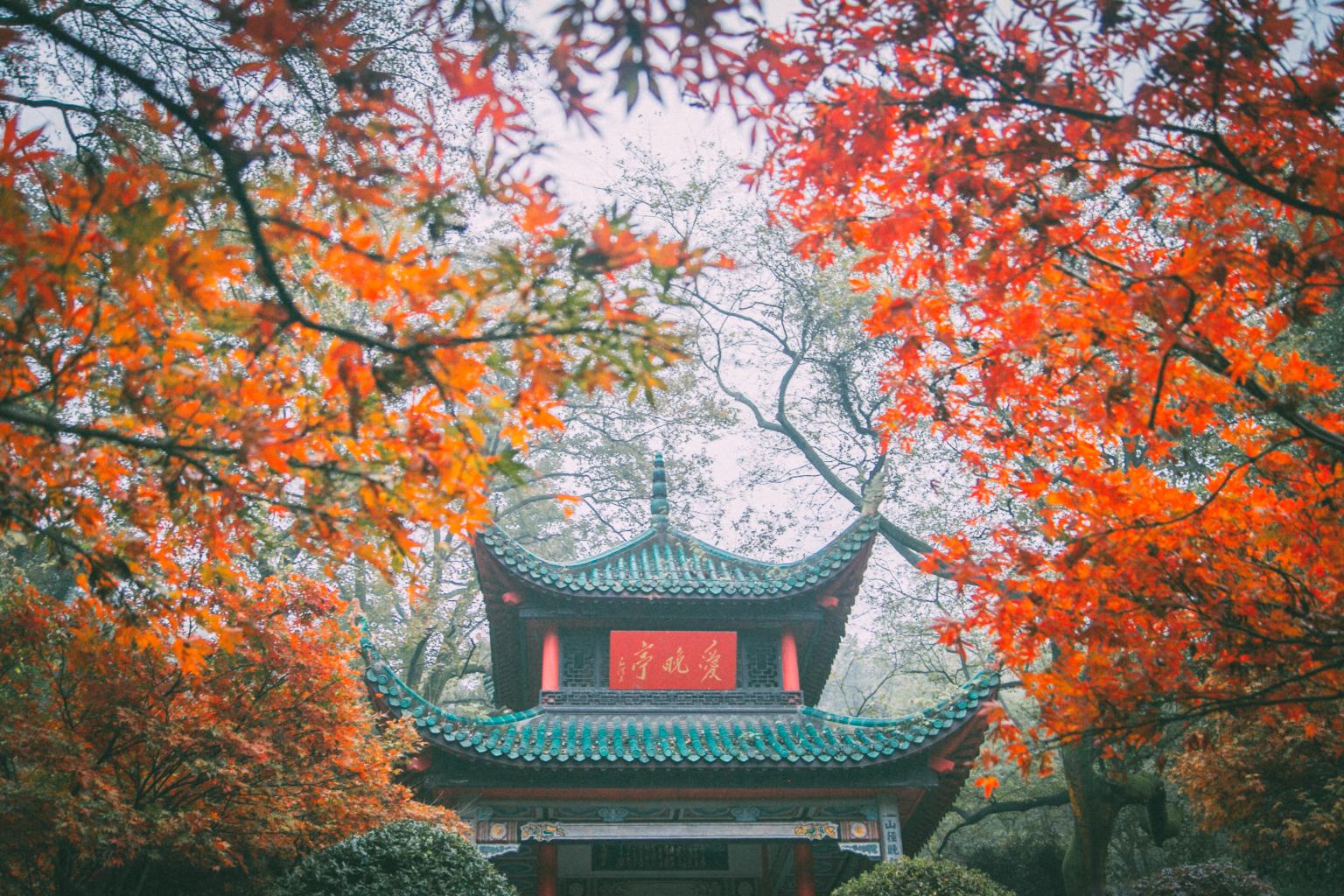 爱晚亭