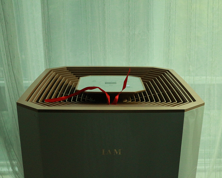 英国IAM空气净化器820F好用不可以每天用吗怎么样，使用体验_搜券