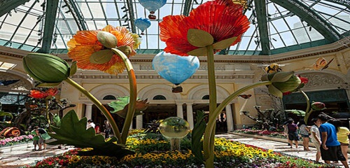 百乐宫温室植物花园 百乐宫温室植物花园介绍 电话 地址 周边景点 飞猪