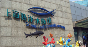 上海海洋水族馆