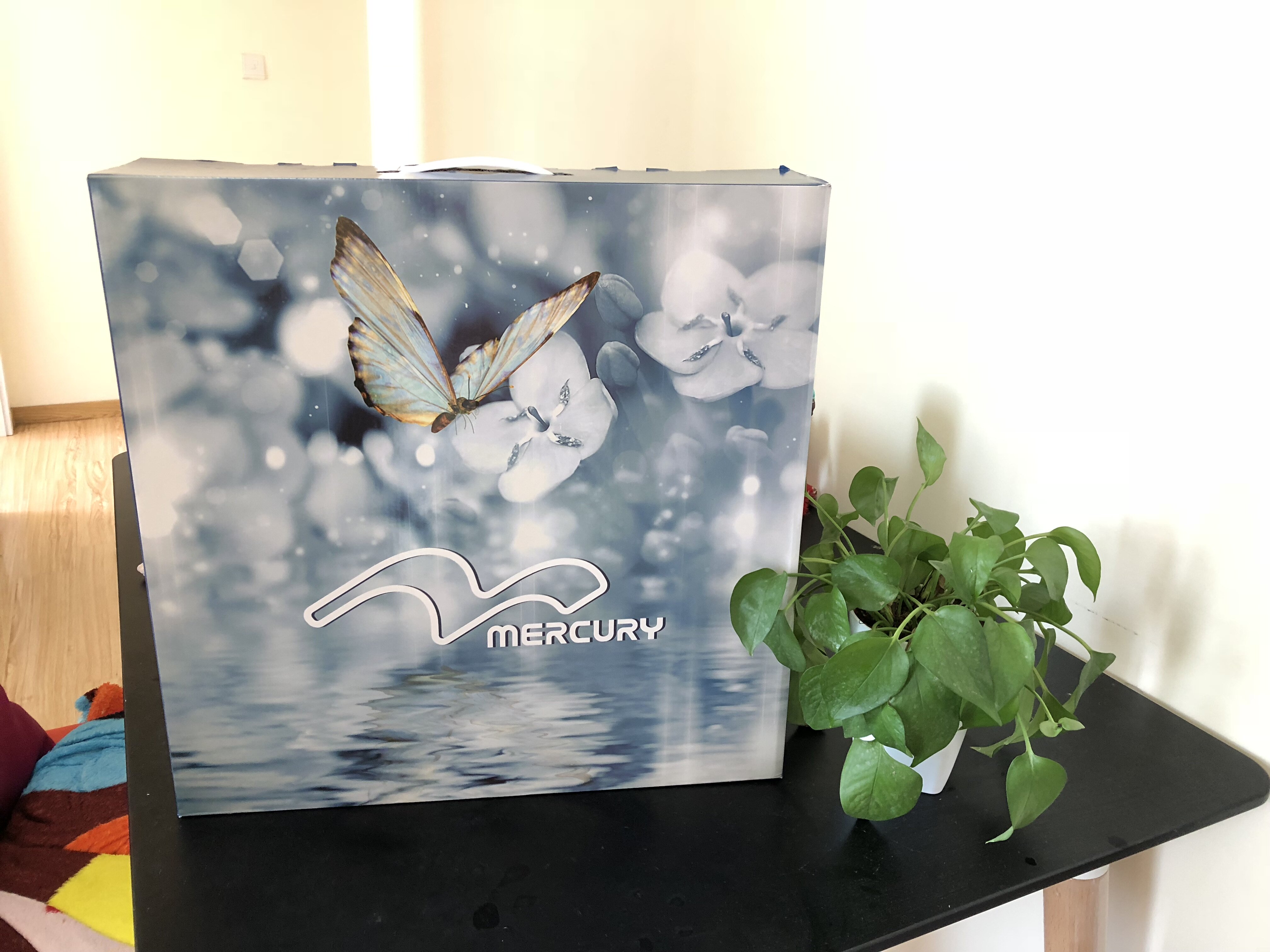 水星家纺仲夏之蓝床单式粗丝冰丝席