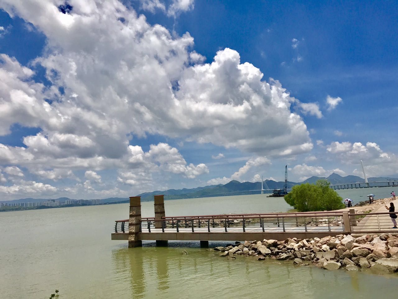 深圳湾公园