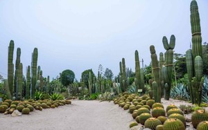 厦门园林植物园
