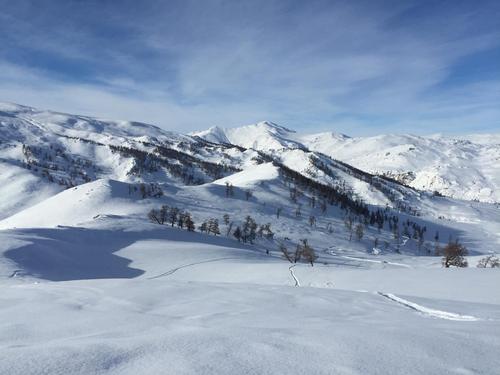 阿尔泰山野雪公园 阿尔泰山野雪公园介绍 电话 地址 周边景点 飞猪