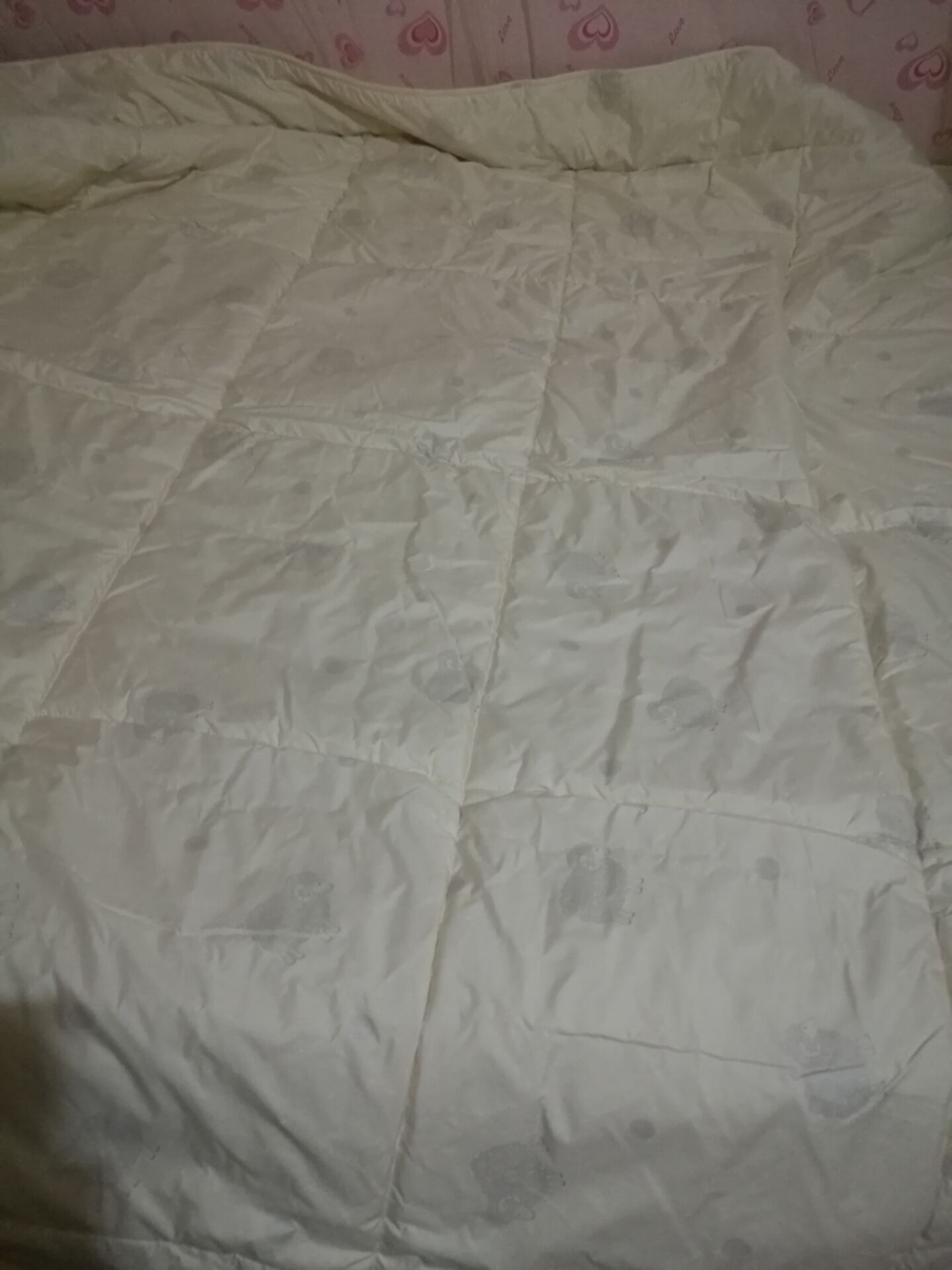 水星家纺 澳洲羊毛冬被芯被子双人加厚保暖秋冬被芯