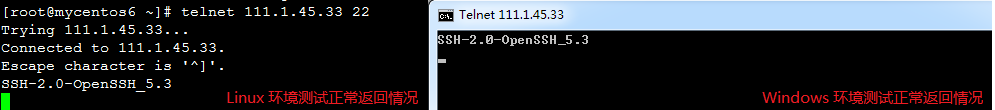 telnet SSH 端口测试正常示意图