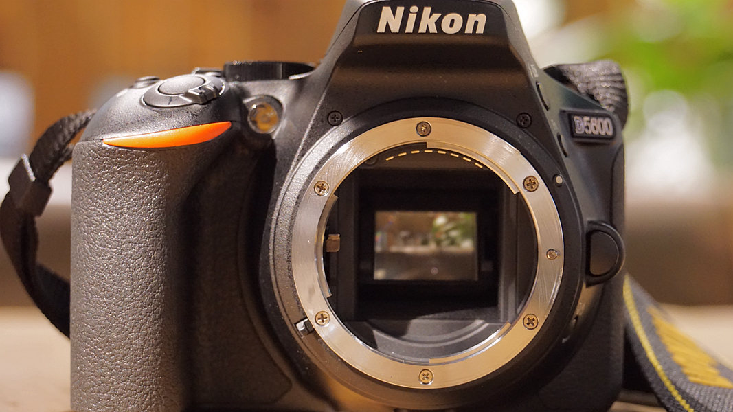 Nikon῵D5600ô῵D5600òĿͺź