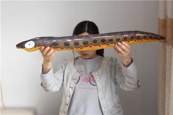 Peluche manga en peluche anguille - Ref 2697522 Image 6