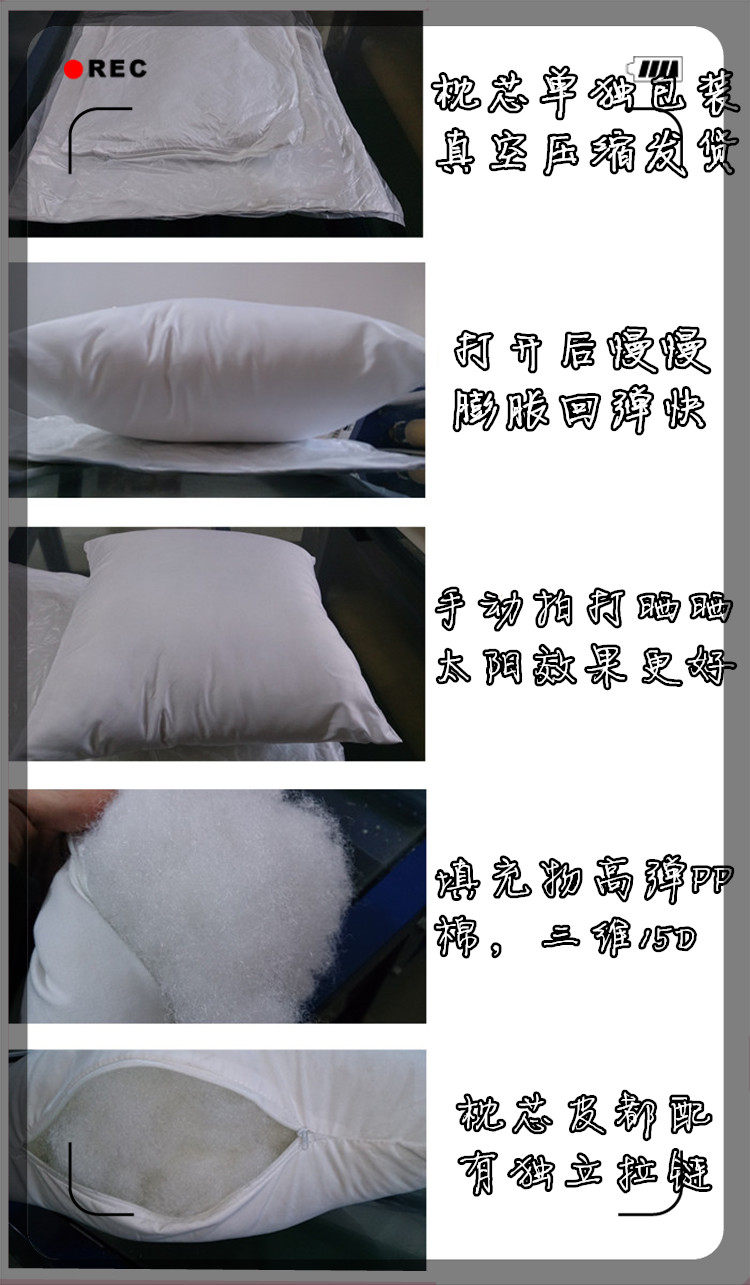 Coussin Manga - Ref 2691046 Image 8