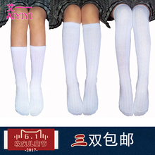 女童舞蹈袜过膝袜白色夏季 纯棉 学生中筒袜儿童白袜子男童半筒袜