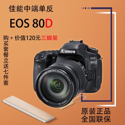 高端专业单反