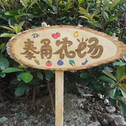 插地木牌菜园竖立挂牌农场户外牌植树节用吊牌路牌可定制