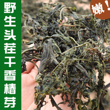 香椿芽 新货500g农家自采头茬野生嫩香椿芽干香椿 新鲜香椿干货