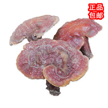 带柄赤芝 500克130元 包邮 整枝 野生灵芝正品