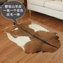动物皮山羊皮整张地毯沙发椅垫皮毛一体样板房间壁挂装饰多花色