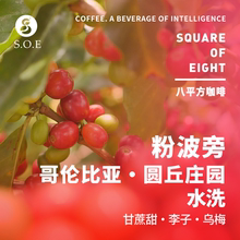 WBC世界咖啡师比赛豆 哥伦比亚圆丘庄园粉波旁水洗精品咖啡豆125g