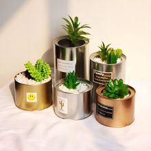 chic韩国铁质花盆银色金色工业风植物仙人掌多肉铁罐花瓶摆拍道具
