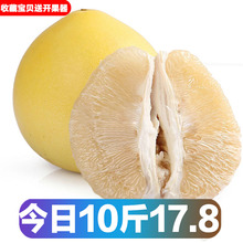 蜜柚琯溪平和冰糖白肉白心蜜柚新鲜柚子当季水果现摘10斤包邮