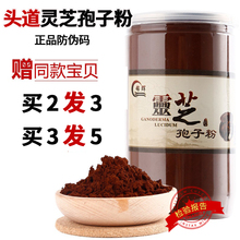 长白山灵芝孢子粉头道椴木袍子粉破壳林芝赤灵芝粉250克散装 正品