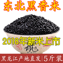 东北黑米5斤 黑龙江五常产地发货种黑香米无染色黑米粥杂粮宝宝米