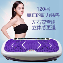 靓抖脂机跑减肥瘦身燃脂机器抖抖机甩脂机站立式全健美塑身机家用