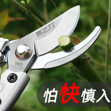 剪枝剪刀园艺树枝剪果树修枝花剪园林花艺强力省力剪粗枝果枝剪子