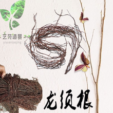 造景根须枯藤蔓雨林鱼缸专用树根藤条沉木装 饰杜鹃根条龙须根水草