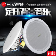 惠威 展厅专用天花定压吸顶喇叭商用背景音乐音响套装 TD206 Hivi