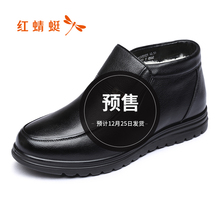 冬季新品 羊毛皮鞋 红蜻蜓男鞋 商务休闲保暖男棉鞋 加绒舒适爸爸鞋