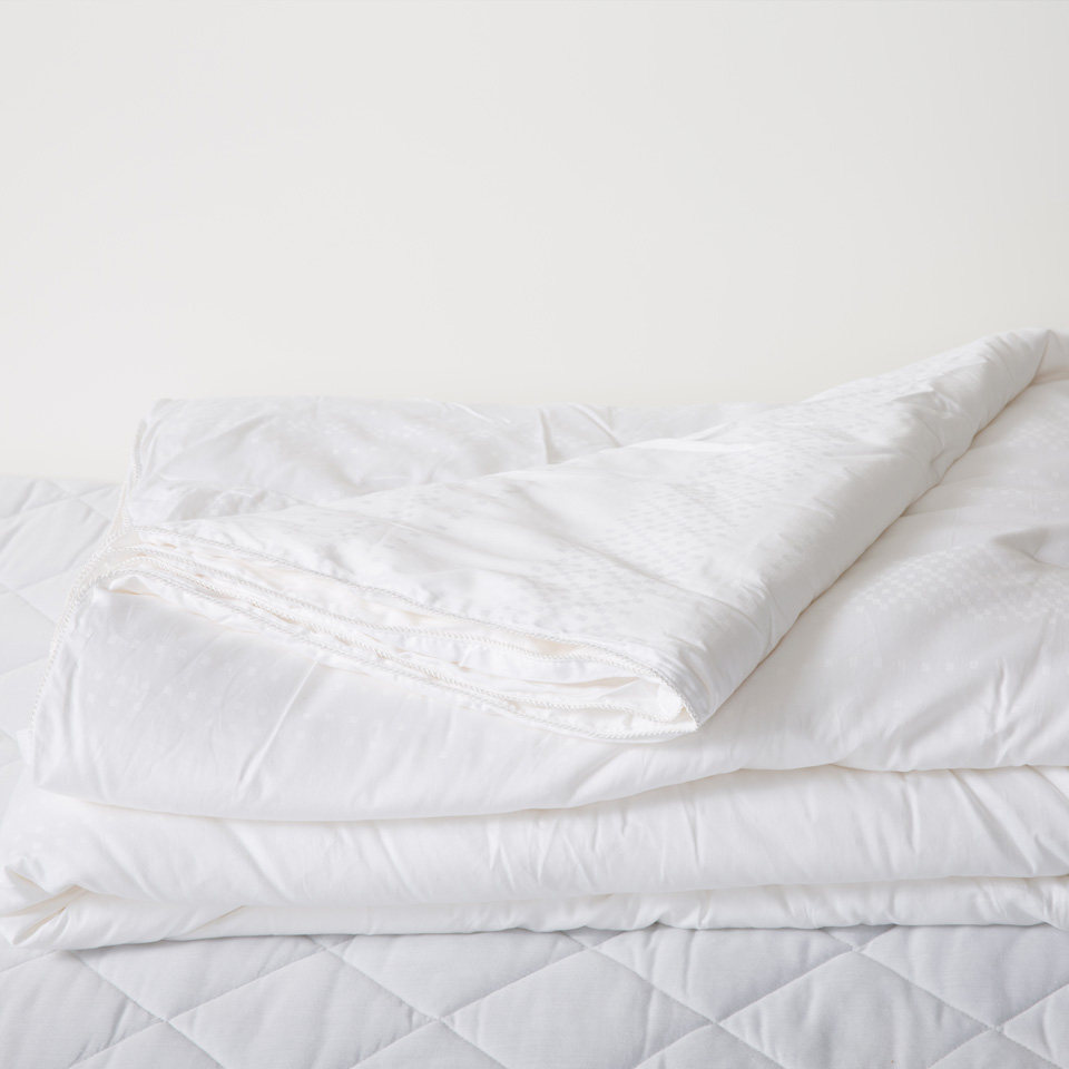 ��ϲ�������Ứ��ĸ��