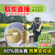 农家自产天然油菜蜂皇浆500g 包邮 新鲜蜂王浆 2019高活性春浆