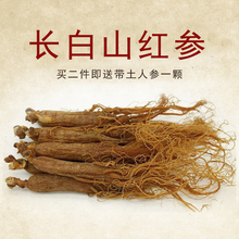 无糖二件送鲜人参抚松人参150g 长白山红参长白山人参