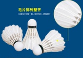 ymq 2打 包邮 濠江羽毛球无标球性价比高飞行稳定训练羽毛球12只装