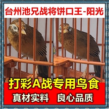手工画眉鸟食饲料500g提性壮膘打鸟料斗鸟料打彩专用料 台州池兄