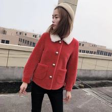 大颗粒领明口袋前短后长JX88997 颗粒羊毛短款