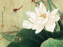 超清晰彩色十字绣重绘图纸/源文件出淤泥而不染蜻蜓荷花