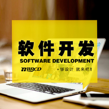 VB软件程序程序设计 编程定做C语言PHPC 软件定制开发 程序设计