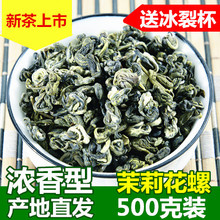 【天天特价】茉莉花茶叶 广西横县茉莉银螺500g 浓香小龙珠花螺茶
