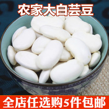 新货 云南特产农家自种大白豆白豇豆豆类杂粮粗粮粮油250g 白芸豆