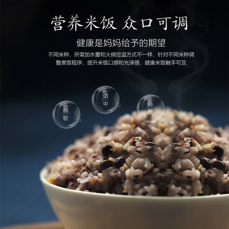 �ղ������ܵ緹��SF40HC735