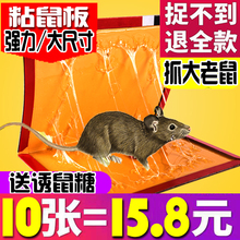 抓老鼠连老鼠笼滚捕鼠老鼠笼子器家用神器续自动捕筒滚轮鼠鼠夹捕